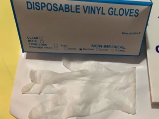 Vinyl Powder Free Hand Gloves