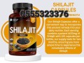 shilajit-capsules-120caps-small-2