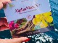 alphamax-v-yes-global-small-1